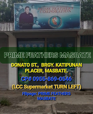 PRIME FEATHERS STORE - PLACER, MASBATE BRANCH