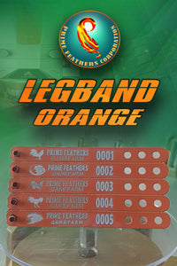 LEGBAND ORANGE