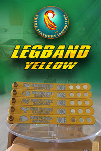 LEGBAND YELLOW